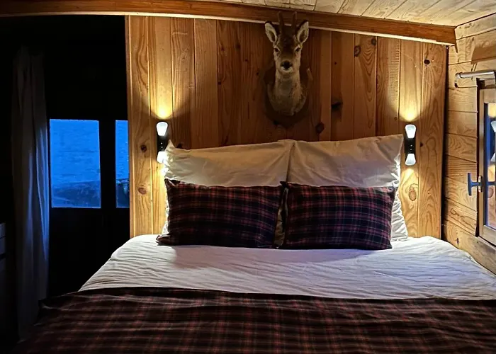 Toue Cabanee Romantique - Vue Maine Et Chateau - Centre *